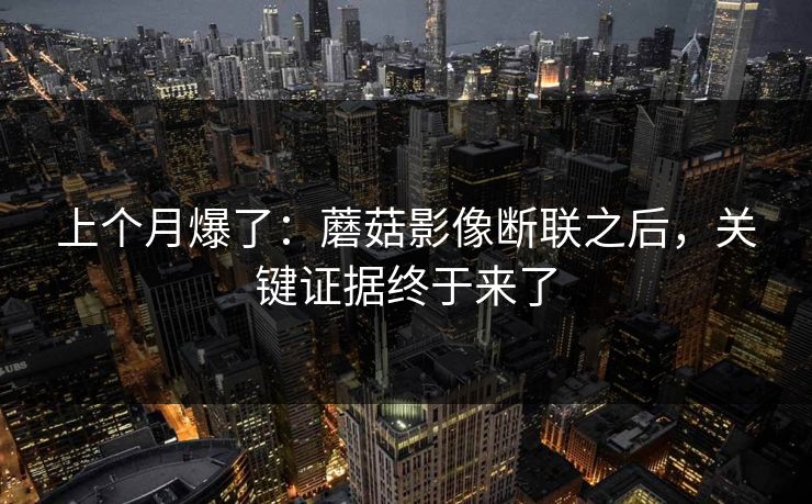 上个月爆了：蘑菇影像断联之后，关键证据终于来了