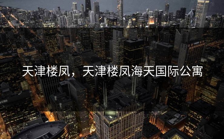 天津楼凤，天津楼凤海天国际公寓