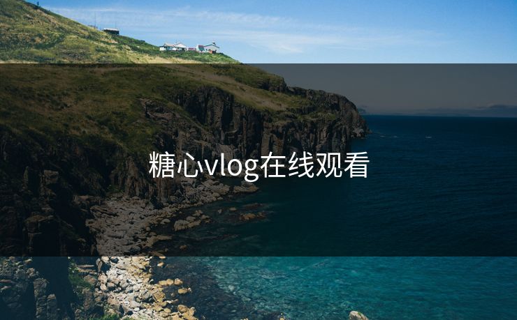 糖心vlog在线观看