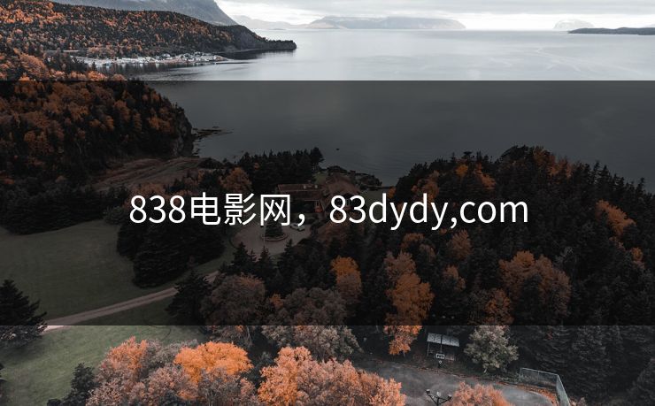 838电影网，83dydy,com
