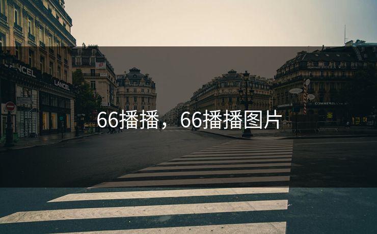 66播播，66播播图片