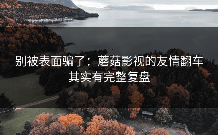 别被表面骗了：蘑菇影视的友情翻车其实有完整复盘