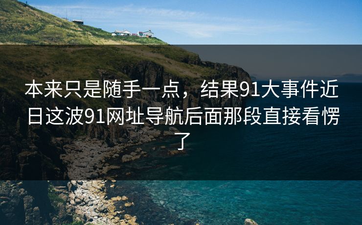 本来只是随手一点，结果91大事件近日这波91网址导航后面那段直接看愣了